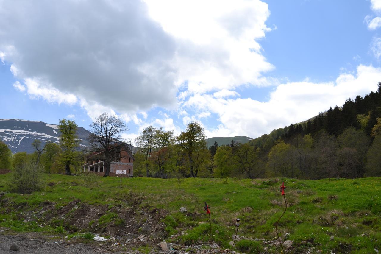 Orbi Palace Eleonora Bakuriani Exteriér fotografie